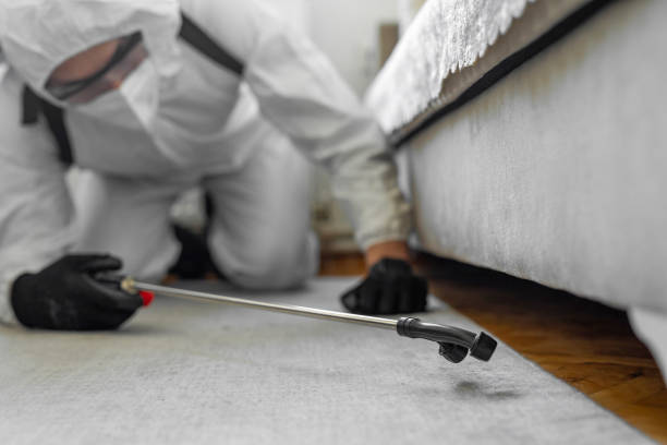 Professional Pest Control technician working in Custer County County, CO